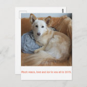 ワ ミ グ雪2019 POSTKARTE (Vorne/Hinten)