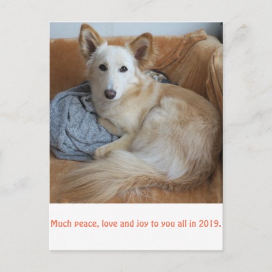 ワ ミ グ雪2019 POSTKARTE (Vorderseite)