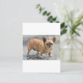 ワ ワ ч и х у а х уаצ postkarte (Stehend Vorderseite)