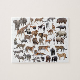 世 界 の 動 物 の 優 良 PUZZLE