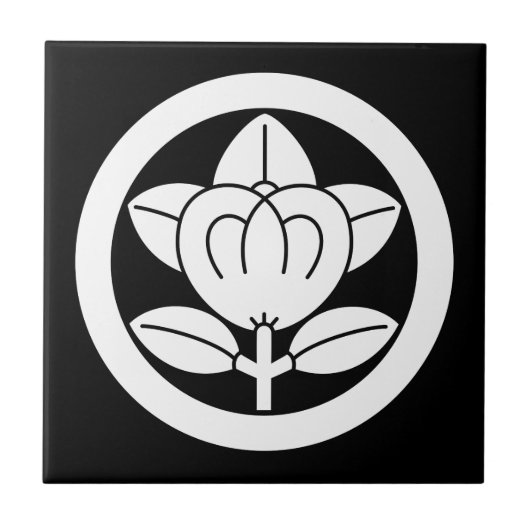 丸に橘 (六つ割り作図) FLIESE (Vorderseite)