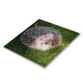 丸まったハリネズミ FLIESE (Seite)