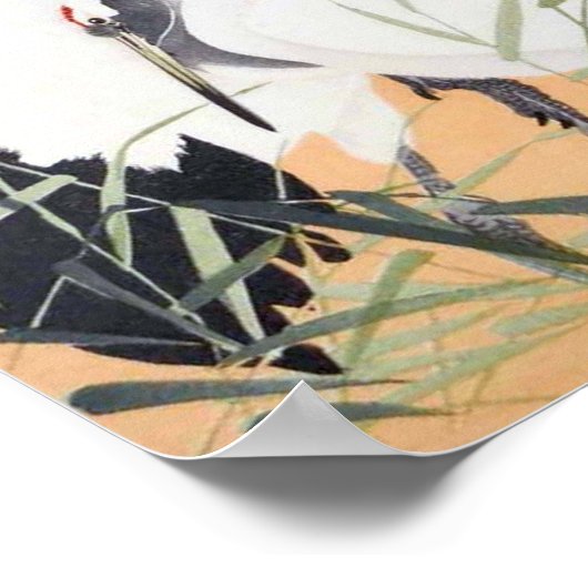 丹 頂 鶴, 小 古 邨 Rotkronenkranich, Ohara Koson, Ukiyo- Poster (Ecke)