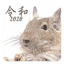 令和2020► DEGU ►   Rodents