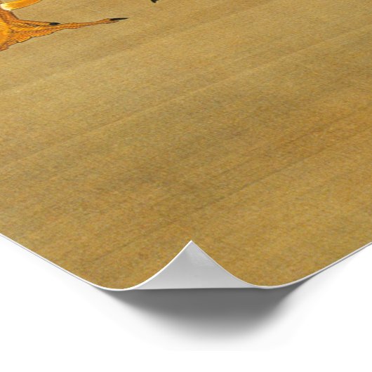 動植綵絵(7)大鶏雌雄図, 伊藤若冲 POSTER (Ecke)