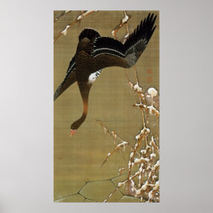 動 植 絵(26)芦 図, 雁, 綵 POSTER