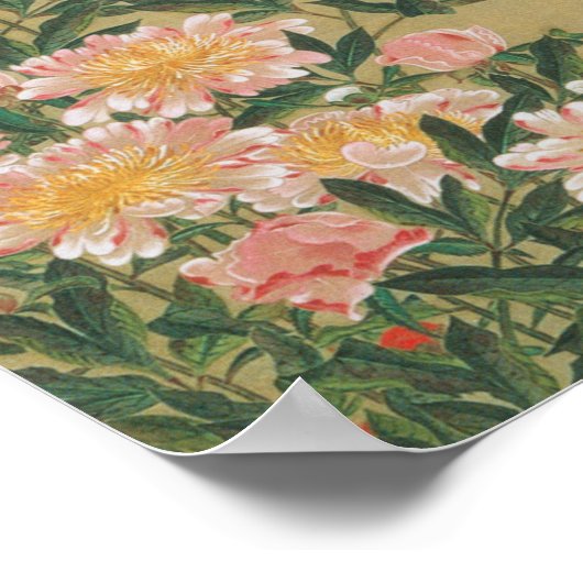 動 植 綵 絵(1)芍 群 POSTER (Ecke)