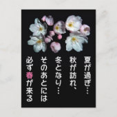 募 金 用 , Kirschblüten , 桜 Postkarte (Vorderseite)
