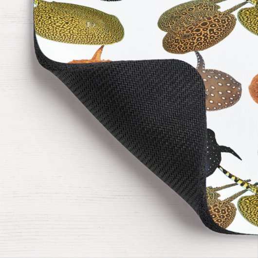 南 米 エ 産 の水淡ウ5. MOUSEPAD (Ecke)