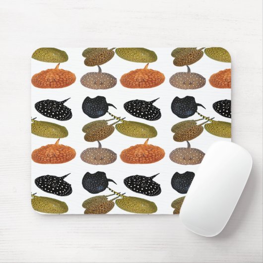 南 米 エ 産 の水淡ウ5. MOUSEPAD (Mit Mouse)