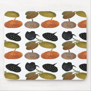 南 米 エ 産 の水淡ウ5. MOUSEPAD