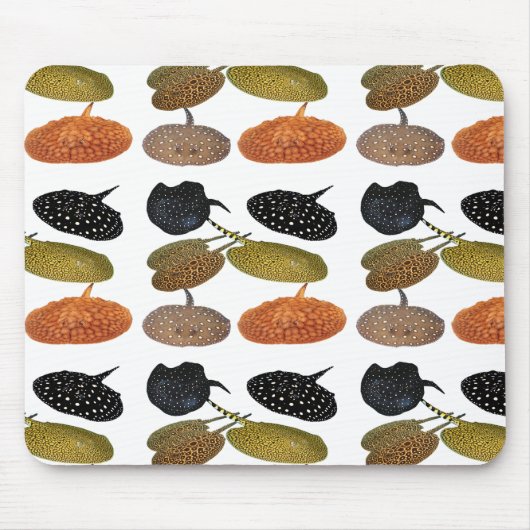 南 米 エ 産 の水淡ウ5. MOUSEPAD (Vorne)