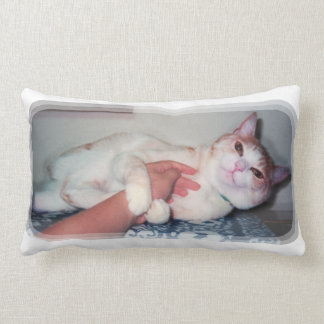 可愛い猫["You can hold me often" a cat 'kawaii'] Lendenkissen