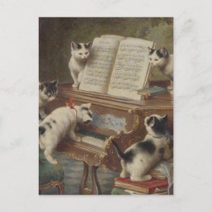 子 猫 と ピ ノ ア POSTKARTE