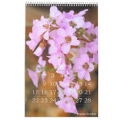 季節の花々のカレンダー KALENDER (Feb 2026)