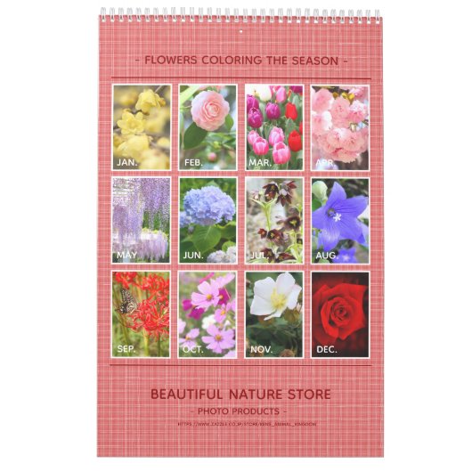 季節の花々のカレンダー KALENDER (Rückseite)