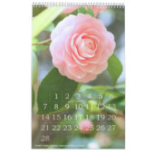 季節の花々のカレンダー KALENDER (Feb 2027)