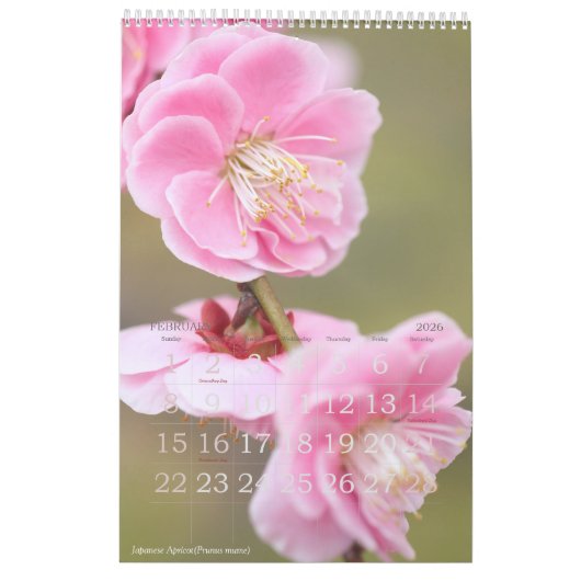 季節の花々のカレンダー KALENDER (Feb 2026)