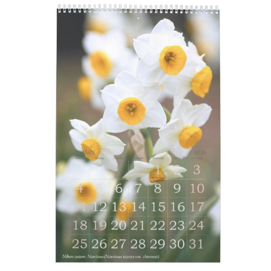 季節の花々のカレンダー KALENDER (Jan 2026)