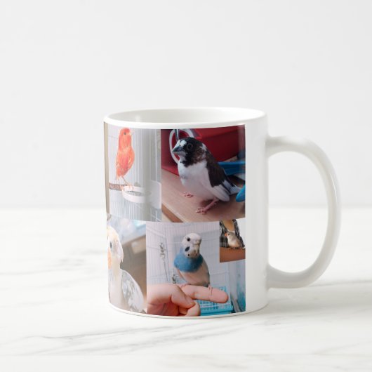小鳥-10枚 KAFFEETASSE (Rechts)