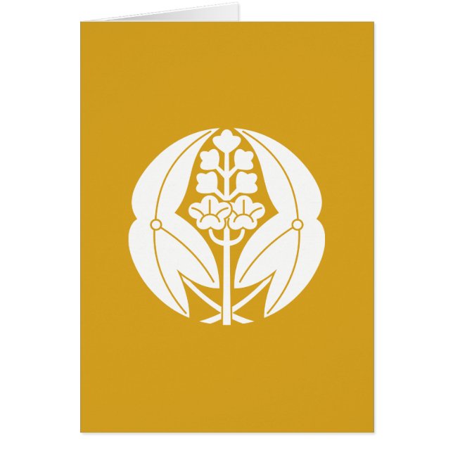 抱 き 沢 瀉 (Vorne)