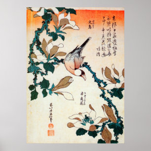 文 鳥 と コ シ, 北 Java Sparrow und Kobushi, Hokusai, ブ Poster