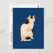 日 本 猫, 国 Japanischer Katze, Kuniyoshi, Ukiyo-e Postkarte (Vorne/Hinten)