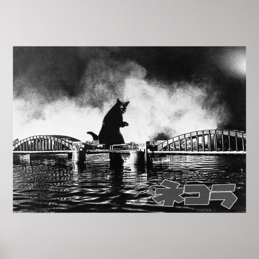 映 ロ デ ィ ネ コ 画ラ POSTER (Vorne)