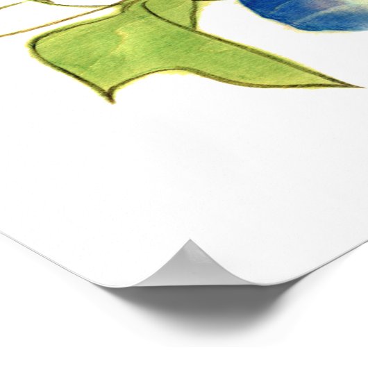 朝顔子猫図　Morning glory and kitten ポスター Poster (Ecke)