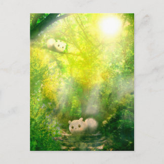 木 漏 れ 日2ご う POSTKARTE