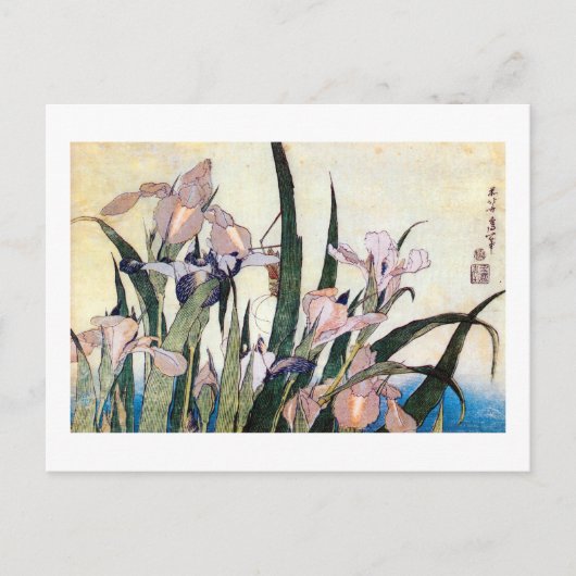 杜 若 と き ぎ り, り, す Iris und Grasshopper, Hokusai Postkarte (Vorderseite)