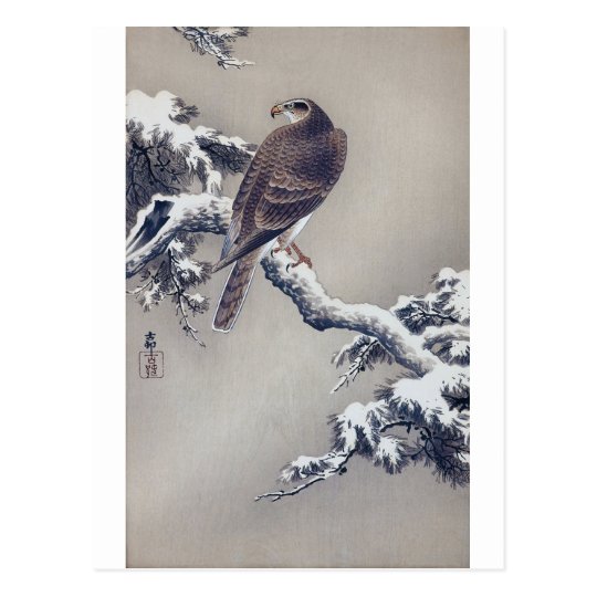 松に鷹, 古邨 Falke auf Kiefer, Ohara Koson, Holzschnitt Postkarte