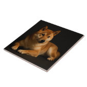 柴犬ポートレート – Shiba Inu Art Fliese (Seite)