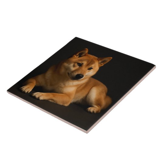柴犬ポートレート – Shiba Inu Art Fliese (Seite)