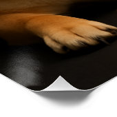 柴犬ポートレート – Shiba Inu Art Glossy Poster (Ecke)