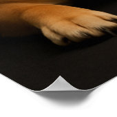 柴犬ポートレート Shiba Inu Art Poster (Ecke)