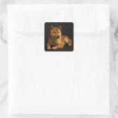 柴犬ポートレート – Shiba Inu Art Quadratischer Aufkleber (Tasche)