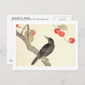 柿 に 烏, 抱 Persimmon und Crow, Hōitsu Postkarte (Vorne/Hinten)