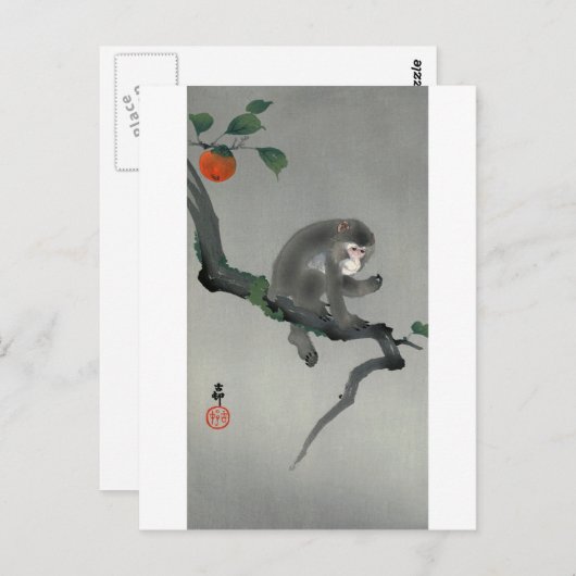 柿 に 猿, 古 Monkey am Persimmonbaum, Ohara Koson, Postkarte (Vorne/Hinten)