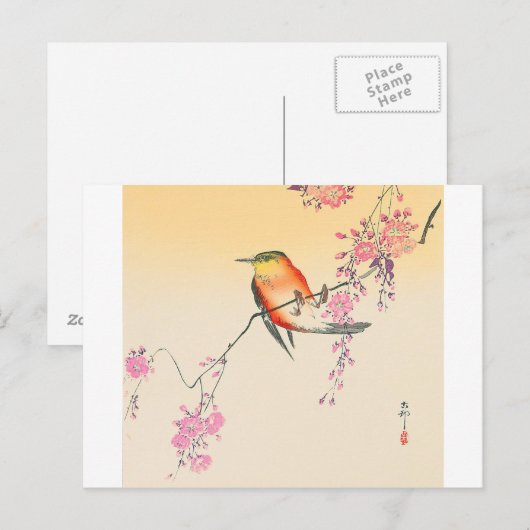 桜 に 鳥, 小 原 邨 Bird & Cherry Blossoms, Ohara Koson Postkarte (Vorne/Hinten)