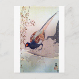 桜 に Sohn, 古 邨 Pheasant und Cherry, Ohara Kohara Postkarte