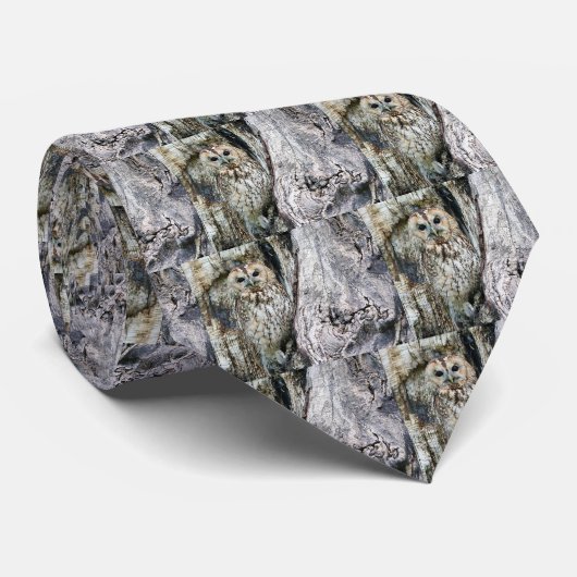 梟 KRAWATTE (Gerollt)