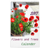 植物カレンダー2017 KALENDER (Titelbild)