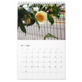 植物カレンダー2017 KALENDER (Feb 2027)