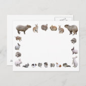 様 々 な 小 物 動 POSTKARTE (Vorne/Hinten)