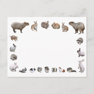 様 々 な 小 物 動 POSTKARTE