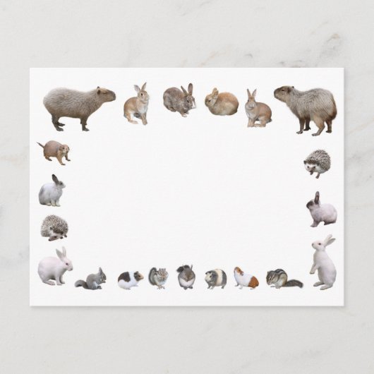 様 々 な 小 物 動 POSTKARTE (Vorderseite)