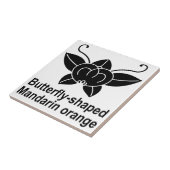 橘 胡 蝶 FLIESE (Seite)