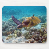 海亀 MOUSEPAD (Vorne)