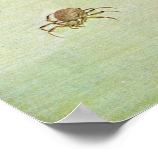 猫と蜘蛛, 東皐 Cat and Spider, Tōkō Poster (Ecke)